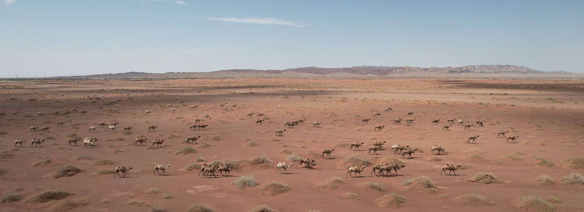 ����֮��hy590(�й�)���¹ٷ���վ